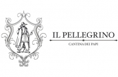 IL PELLEGRINO